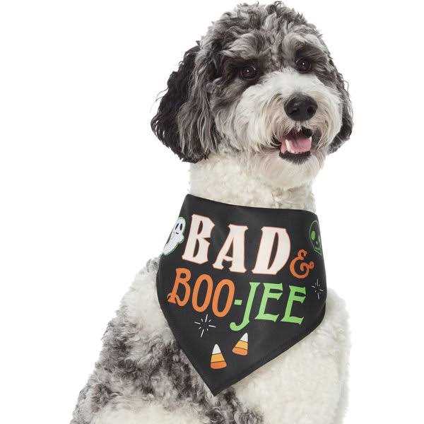 Dog Toy P935