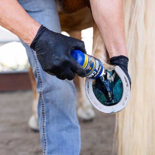 Hoof Care M4612