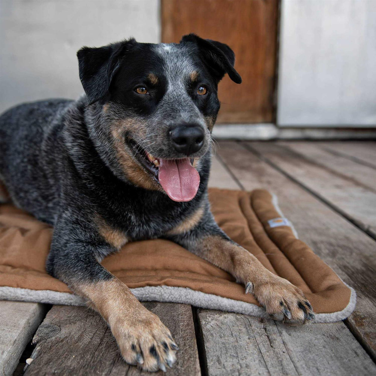 Dog Pad W87953