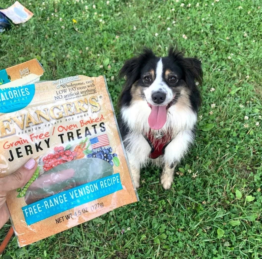 Venison Jerky Dog Treats 4.5 oz Z4947