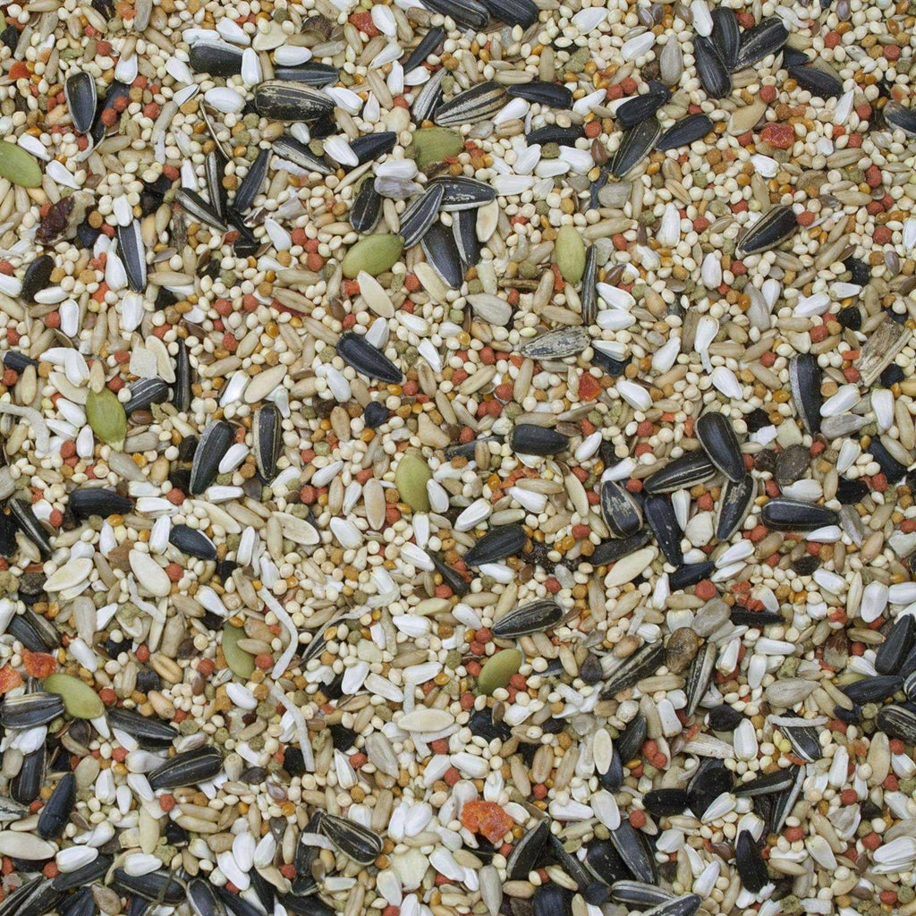 Sunburst Gourmet Blend Cockatiel Food B1286