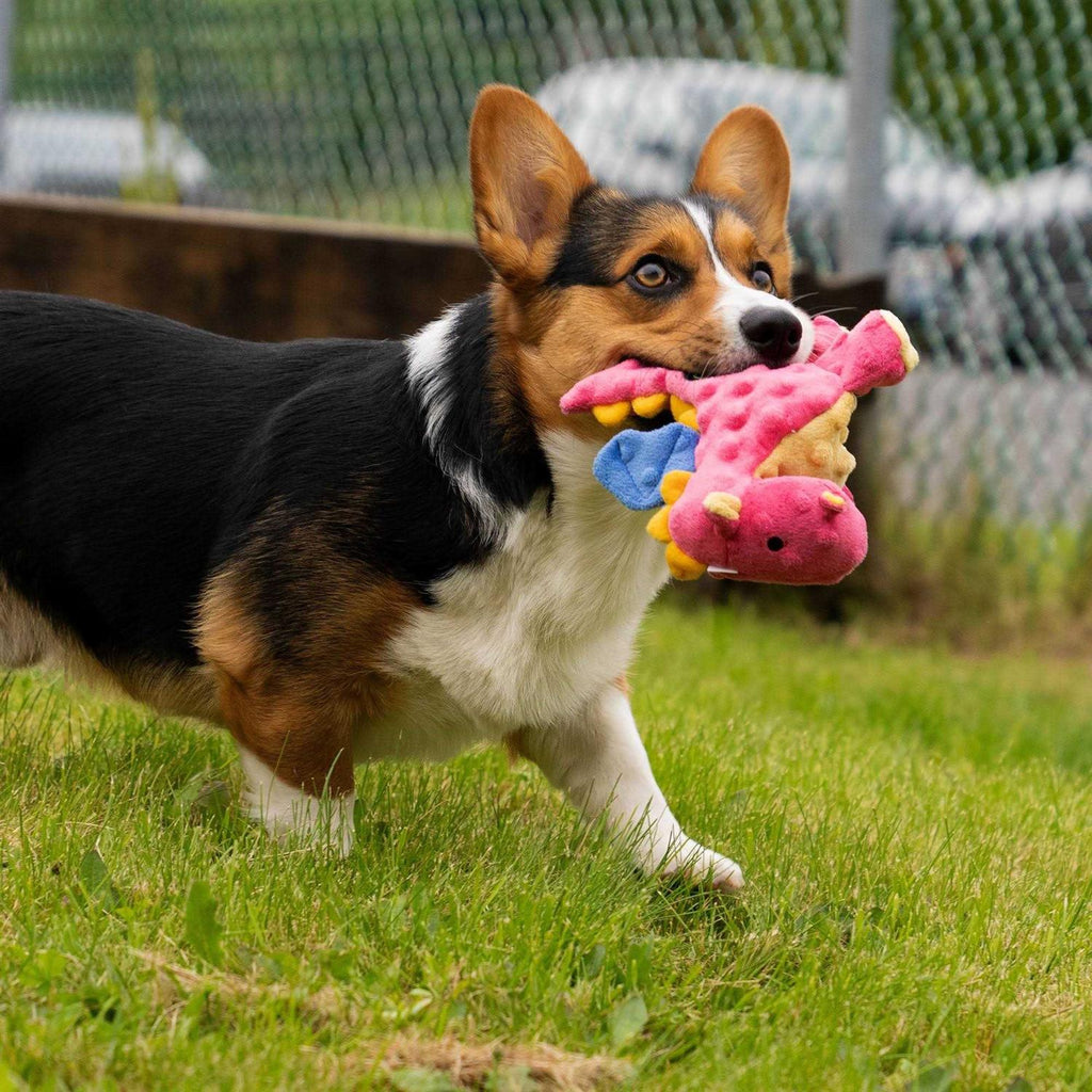 Plush Dog Toy A487