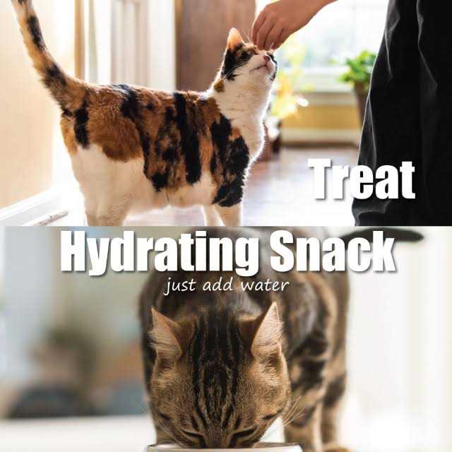 Freeze-Dried Chicken Cat Treats P3635