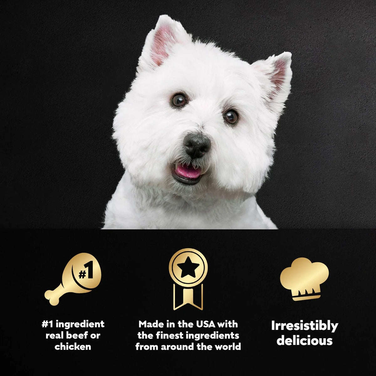 Steak and Chicken Wet Dog Food Variety Pack, 3.5 oz Trays (36 Pack) T707661