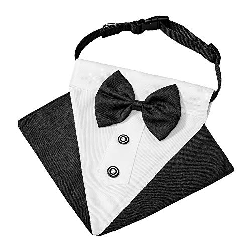 Black Adjustable Dog Collar with Bow Tie O16511