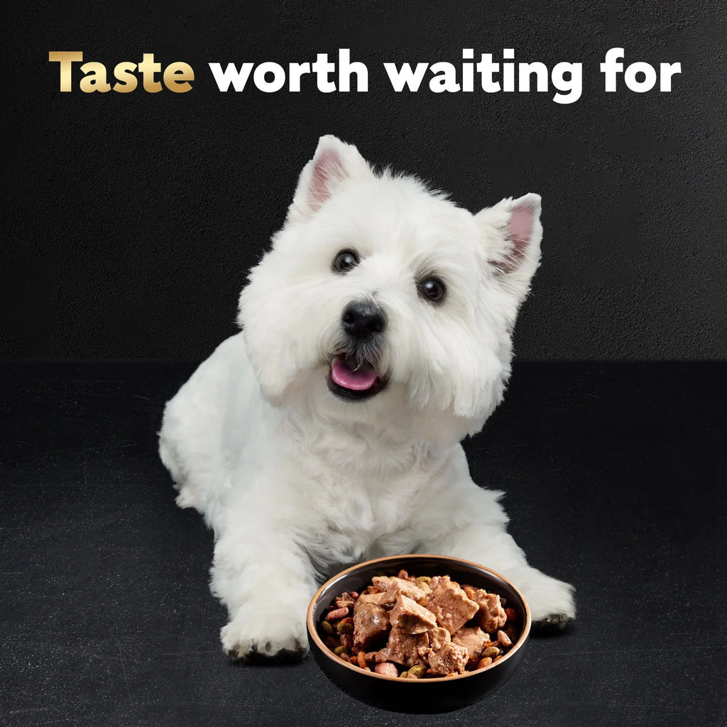 Steak and Chicken Wet Dog Food Variety Pack, 3.5 oz Trays (36 Pack) T707661