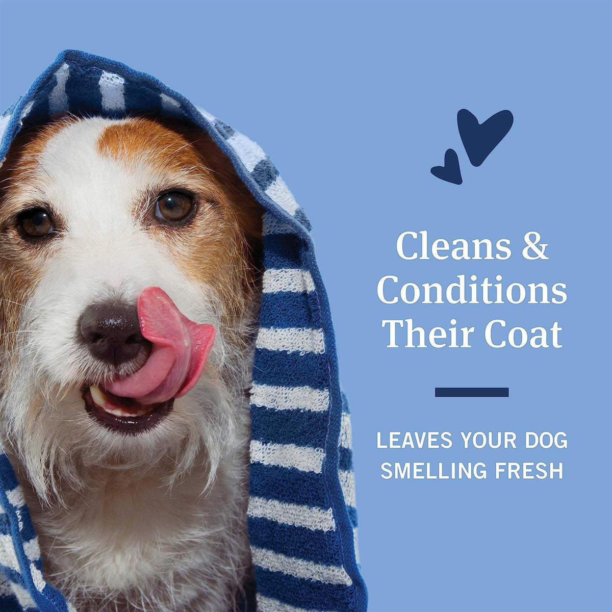 Flea and Tick Shampoo for Dogs Q466756