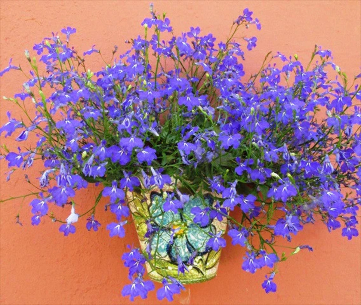 Wall Hanging Flower Pot L669