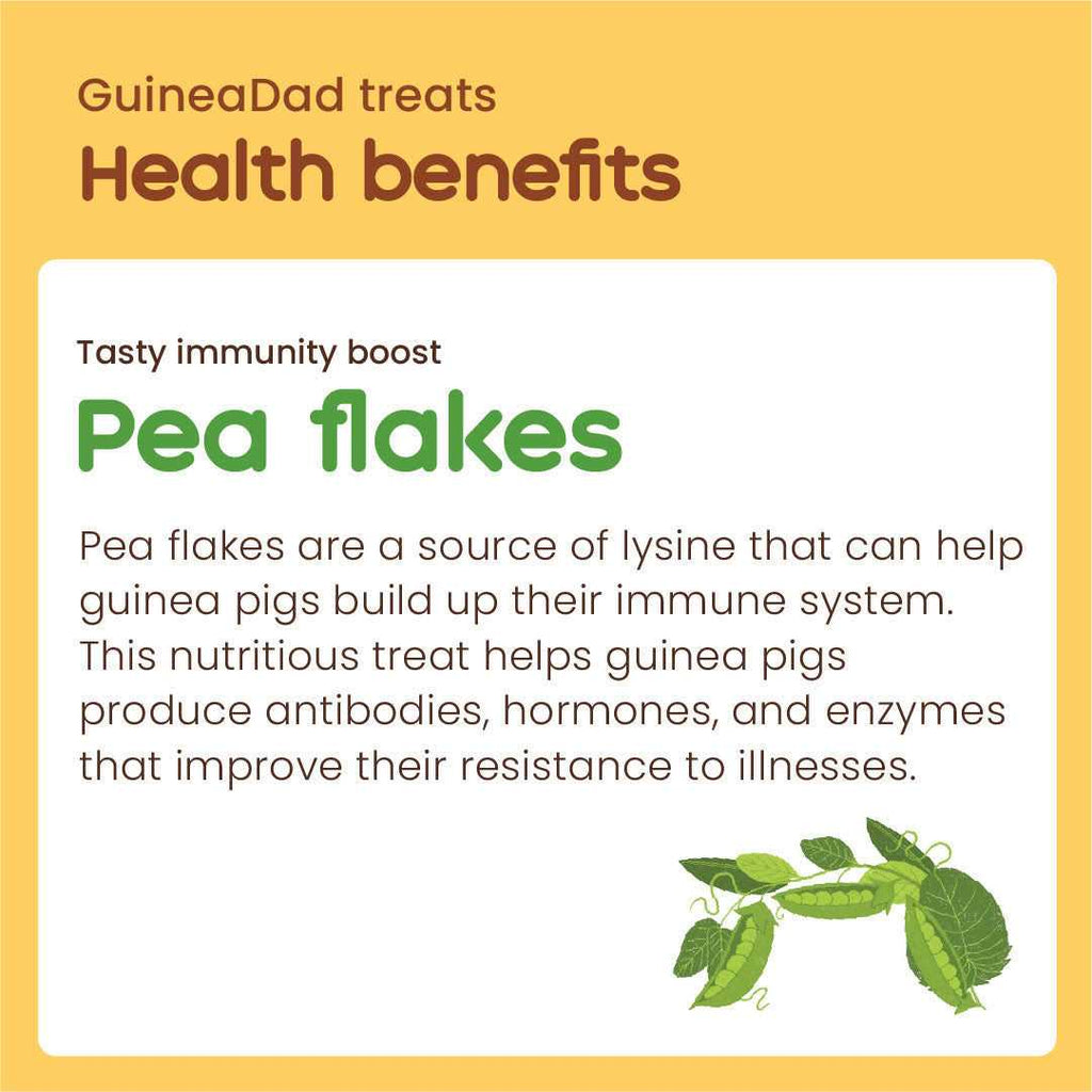 Guinea Pig Pea Flakes W8272