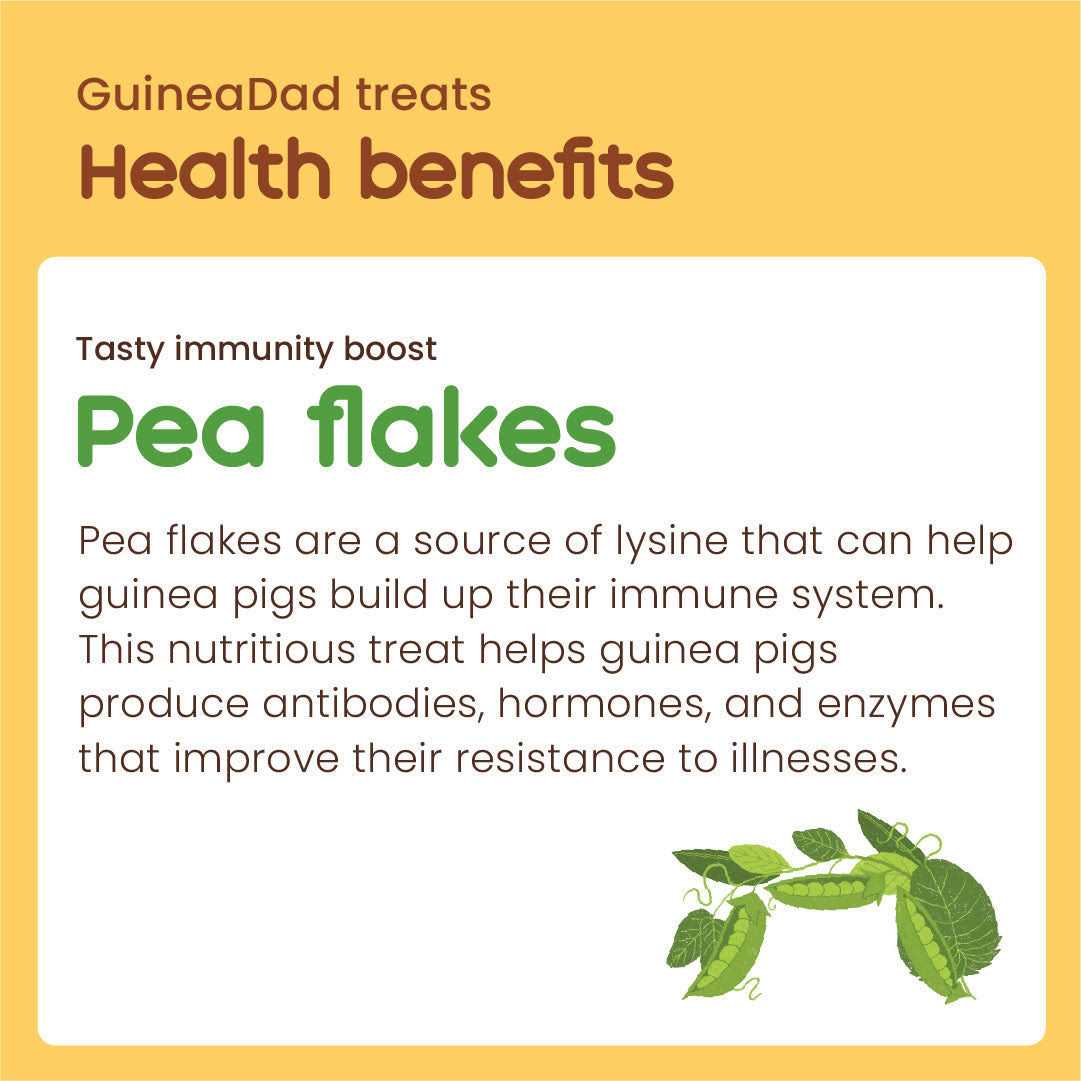 Guinea Pig Pea Flakes W8272