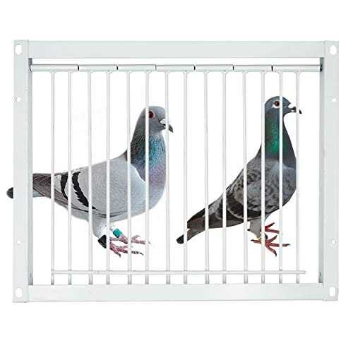 30cm Pigeon Cage One Way Entrance Door F80100