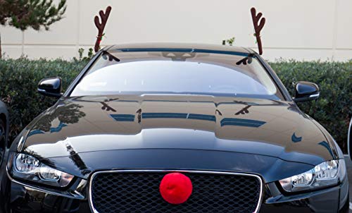 Reindeer Antlers & Nose Christmas Decorations C42762