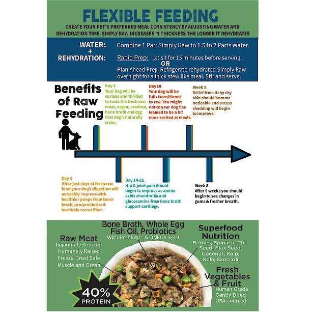 Freeze-Dried Raw Whole Food Meal R820
