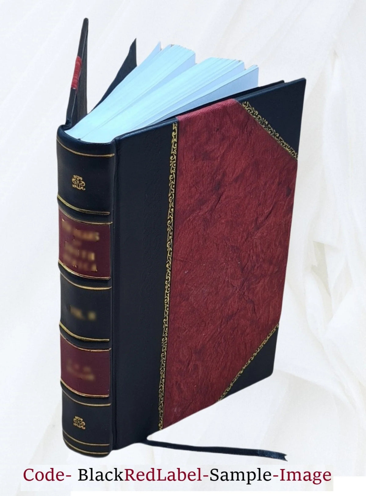 Leather Bound Book C131084