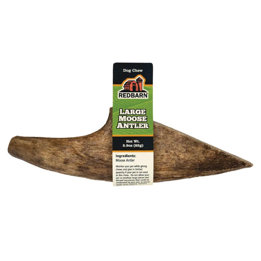 Moose Antler Dog Chew P30809