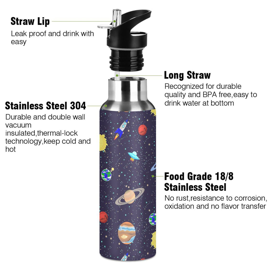 20 OZ Stainless Steel Water Bottle with Straw Lid T12256