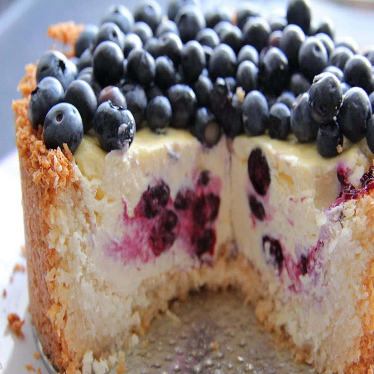 Blueberry Cheesecake Fragrance Oil 8 oz Bottle J14539