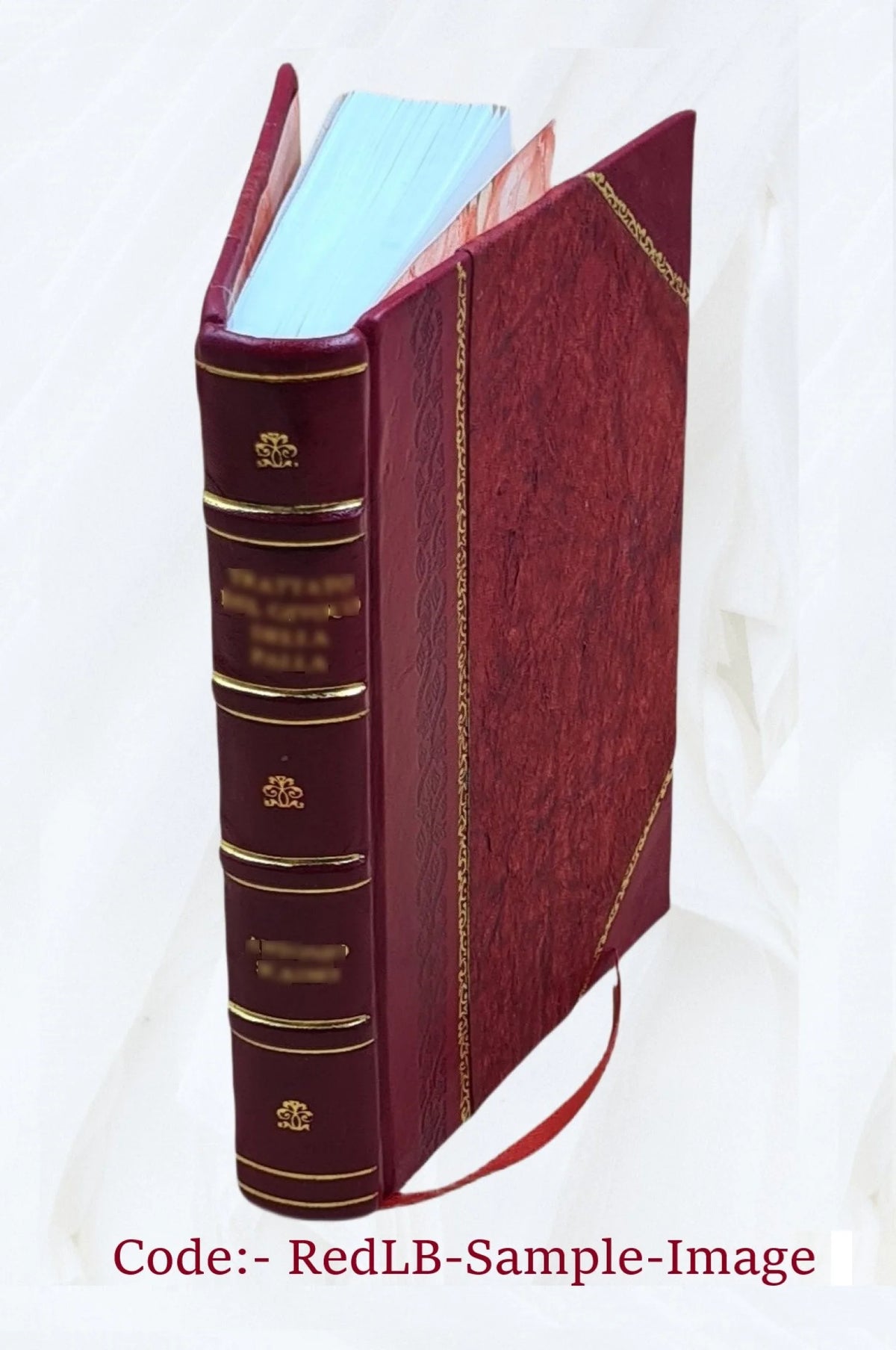 Renaissance et Réforme: Érasmus, Thomas Morus-Mélanchthon Volume 2 1877 [Leather Bound] K99291